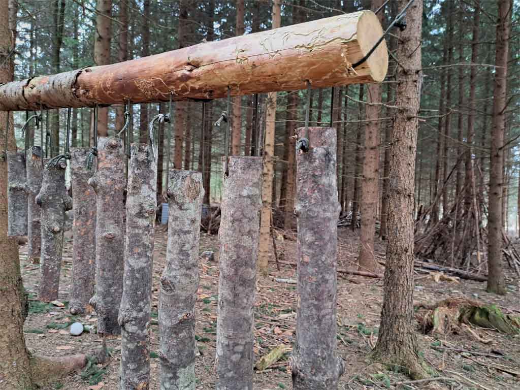 Wald- und Naturkindergarten Kaufbeuren