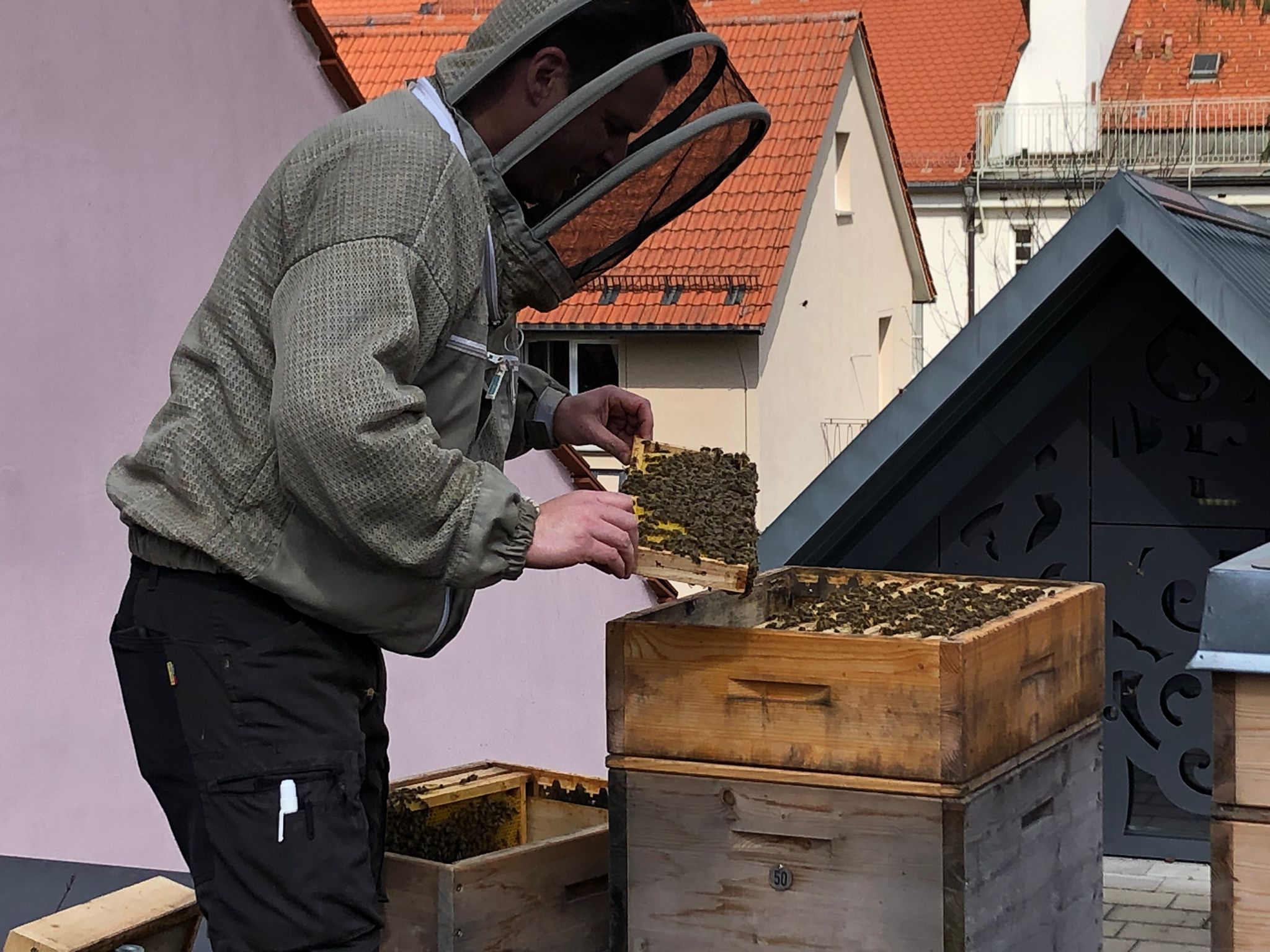 Philip Loos bei der Arbeit an den Bienenstöcken auf der Dachterrasse des Stadtmuseums. Bienen über den Dächern der Stadt.
(Fotos: Stadtmuseum Kaufbeuren)