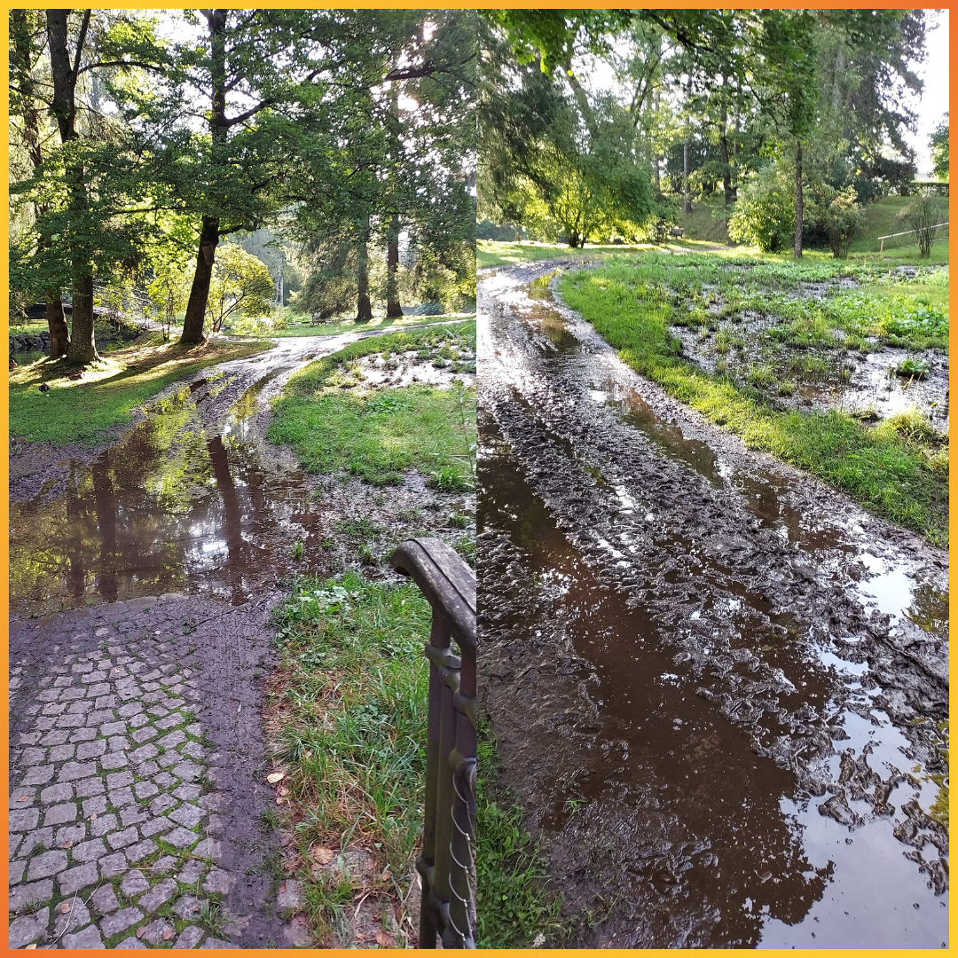 Grundwasser im Jordanpark. Foto: Christoph Rothe/Stadt Kaufbeuren