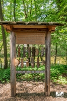 Station 12 Holzarten: Erkennst du die bekanntesten einheimischen Holzarten?<br> 