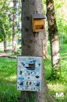 Station 2 Vogelfutterkasten<br> 